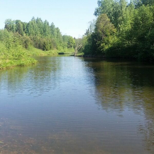 Cerkazi kalakasvandus