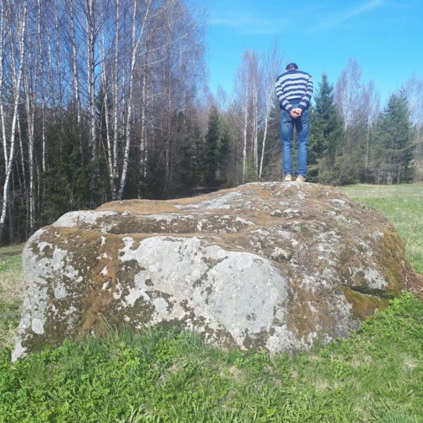 Ķēniņkalnsi kivi